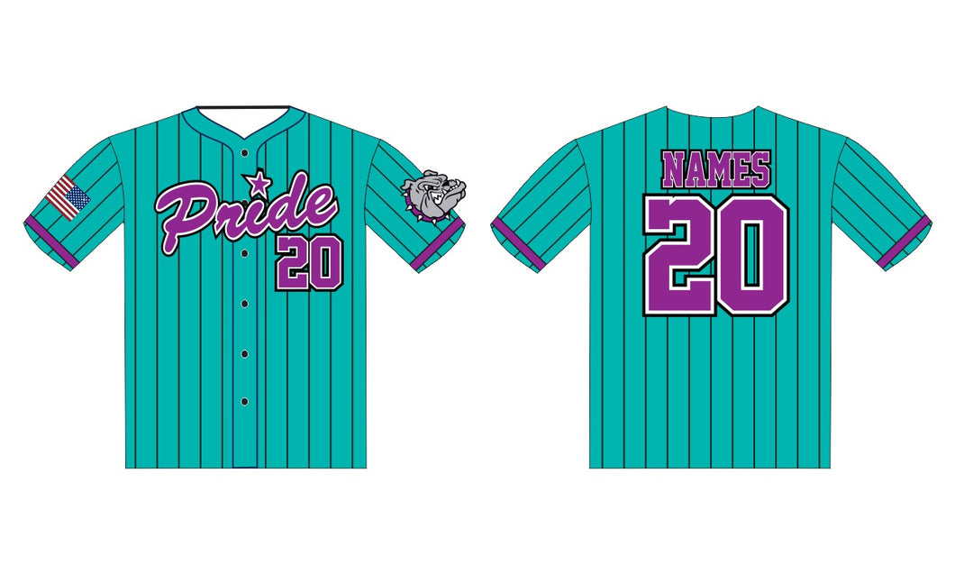 Teal / Purple Pinstripe Jersey